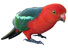 apollo bay accommodation - Come and feed Apollo at Apollos View Accommodation