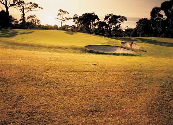 Apollo Bay Golf Course