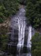 Link to view Image gallery of Great Otway National Park