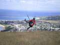 Paragliding at Marriner's Lookout